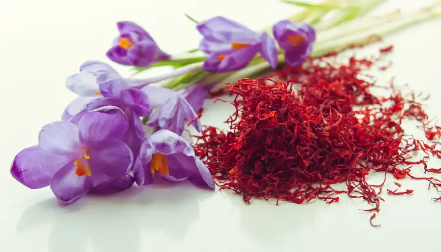متن تبلیغ برای فروش و تبلیغ زعفران | 160 متن تبلیغاتی زغفران